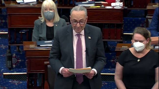 El senador Chuck Schumer habla ante la Cámara de Representantes en el impeachment