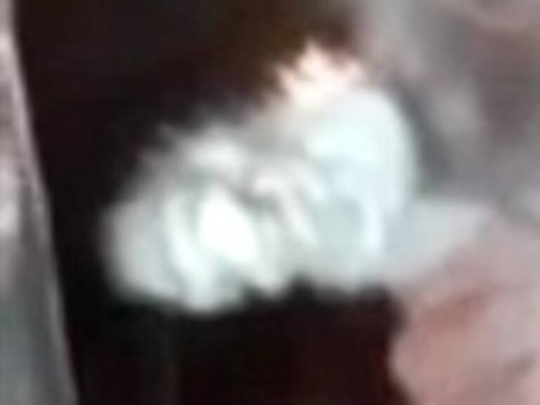 Alegrianimal y maltrato a gato: Ante un video con tanta maldad, nacen deseos enormes de justicia