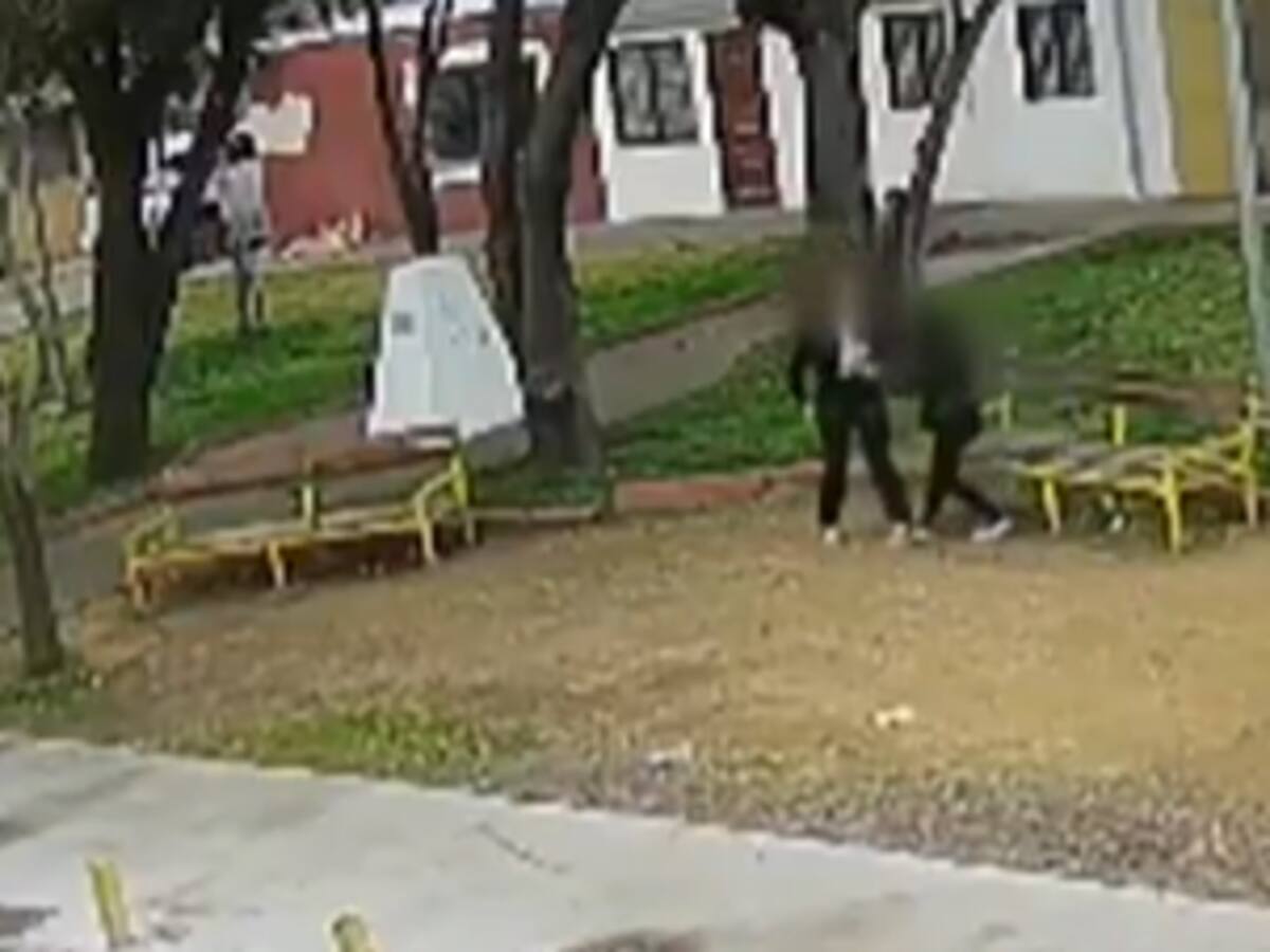 Adolescente de 15 años es detenida por liderar banda que robaba celulares en Curicó: tenía un particular método