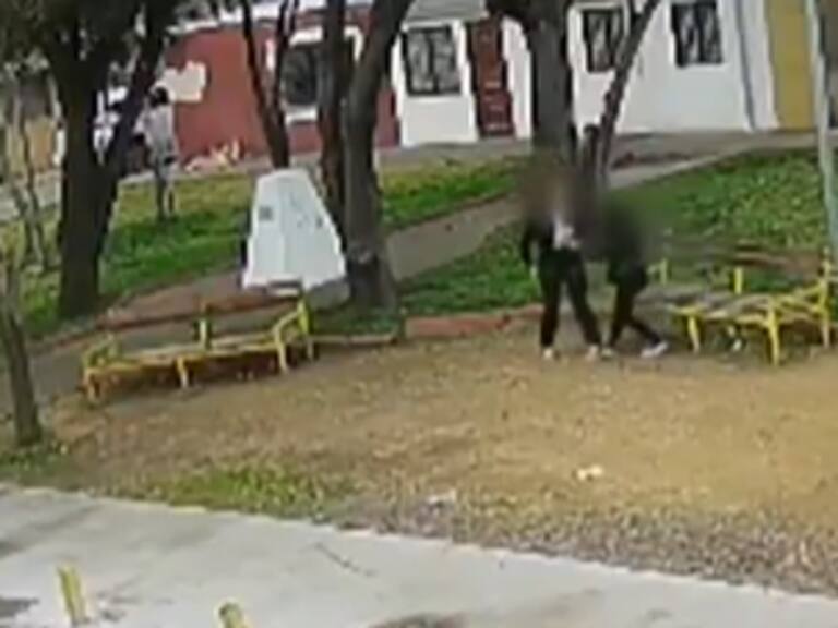 Adolescente de 15 años es detenida por liderar banda que robaba celulares en Curicó: tenía un particular método