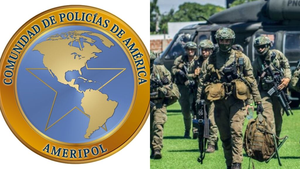 Qué es Ameripol