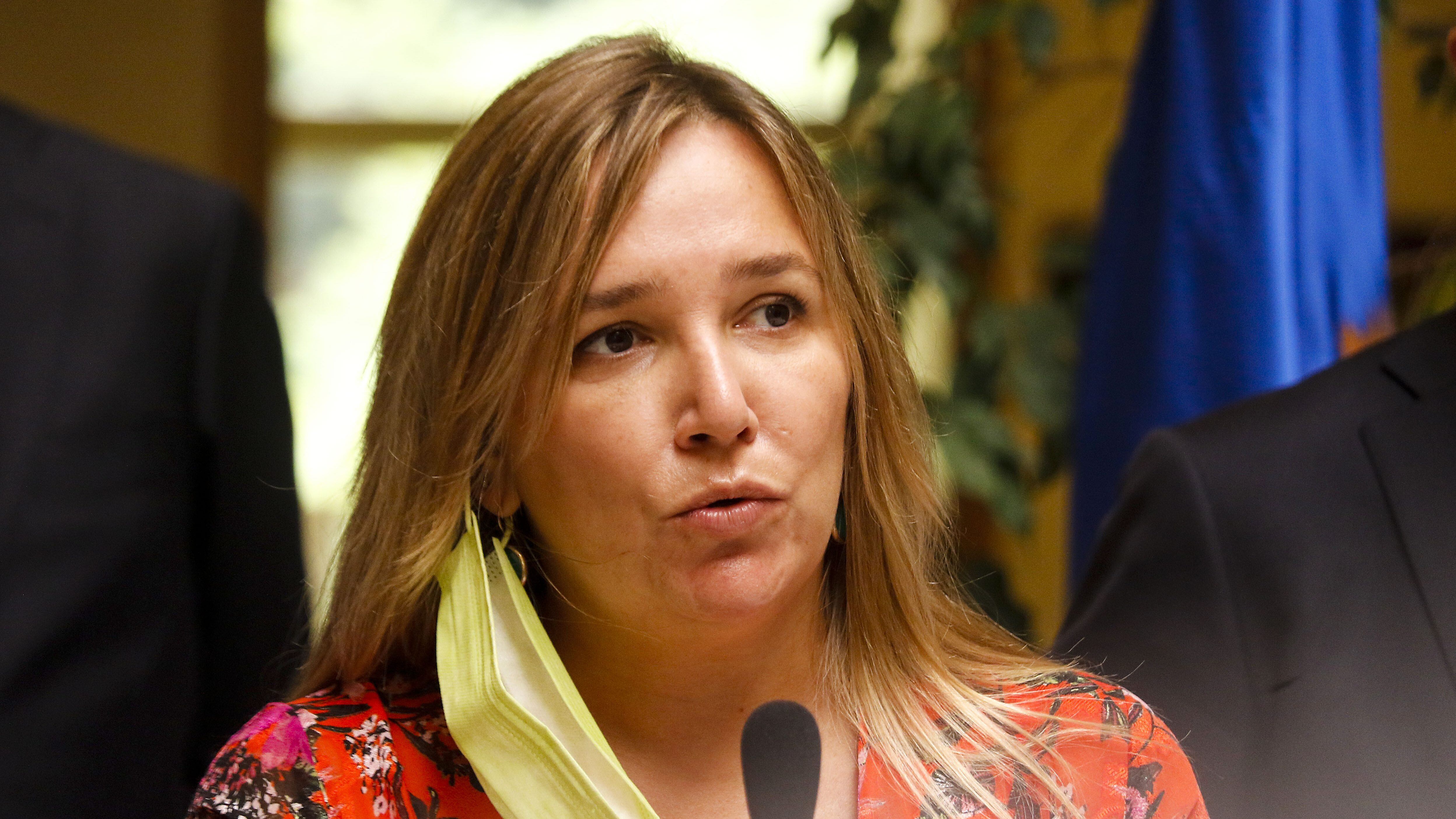 María José Hoffmann UDI