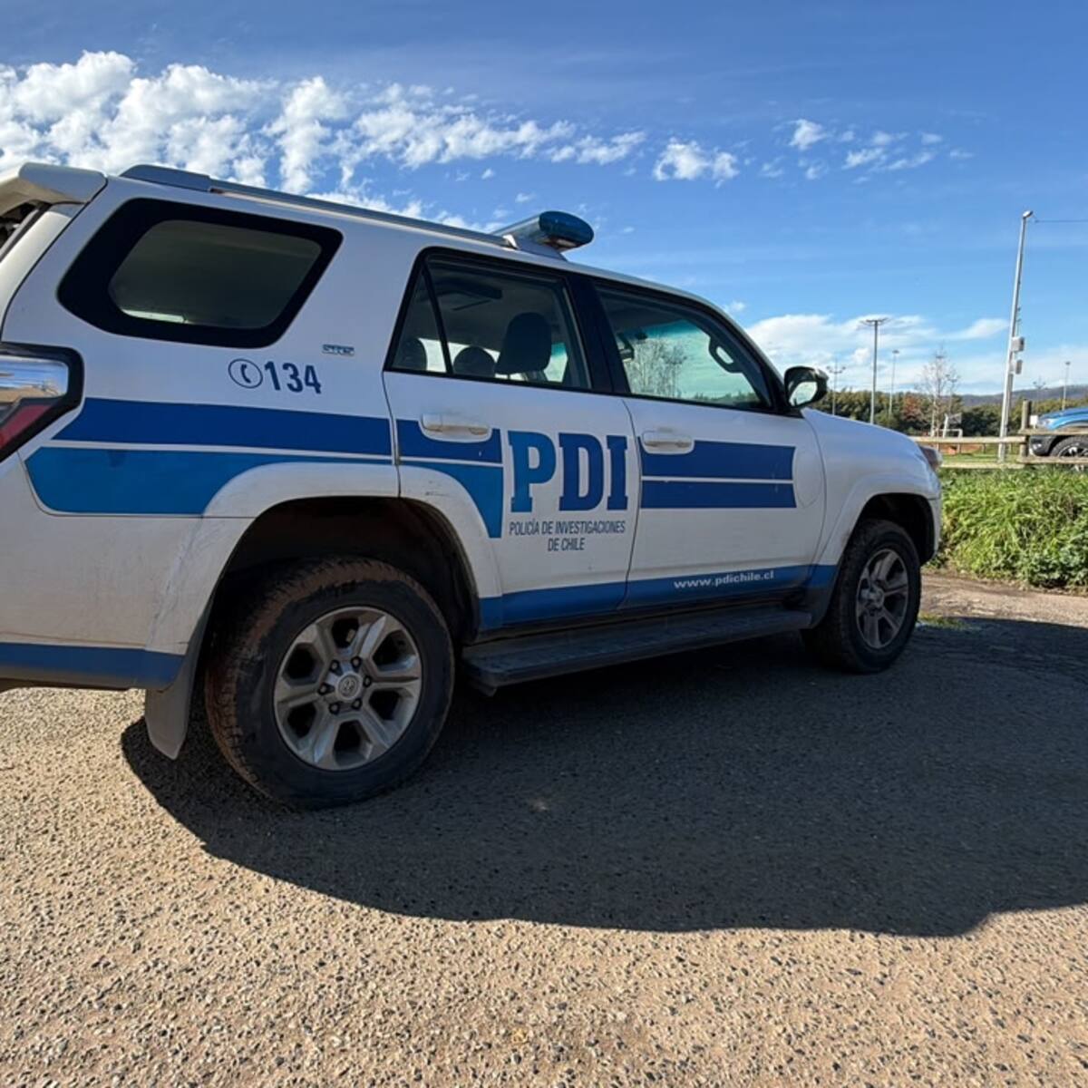 Hallazgo de un cráneo humano a un costado de colegio moviliza a la PDI en Concepción