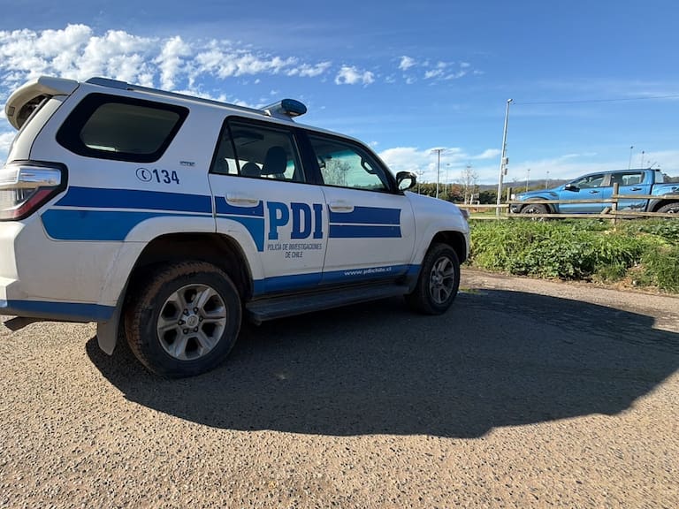 Hallazgo de un cráneo humano a un costado de colegio moviliza a la PDI en Concepción