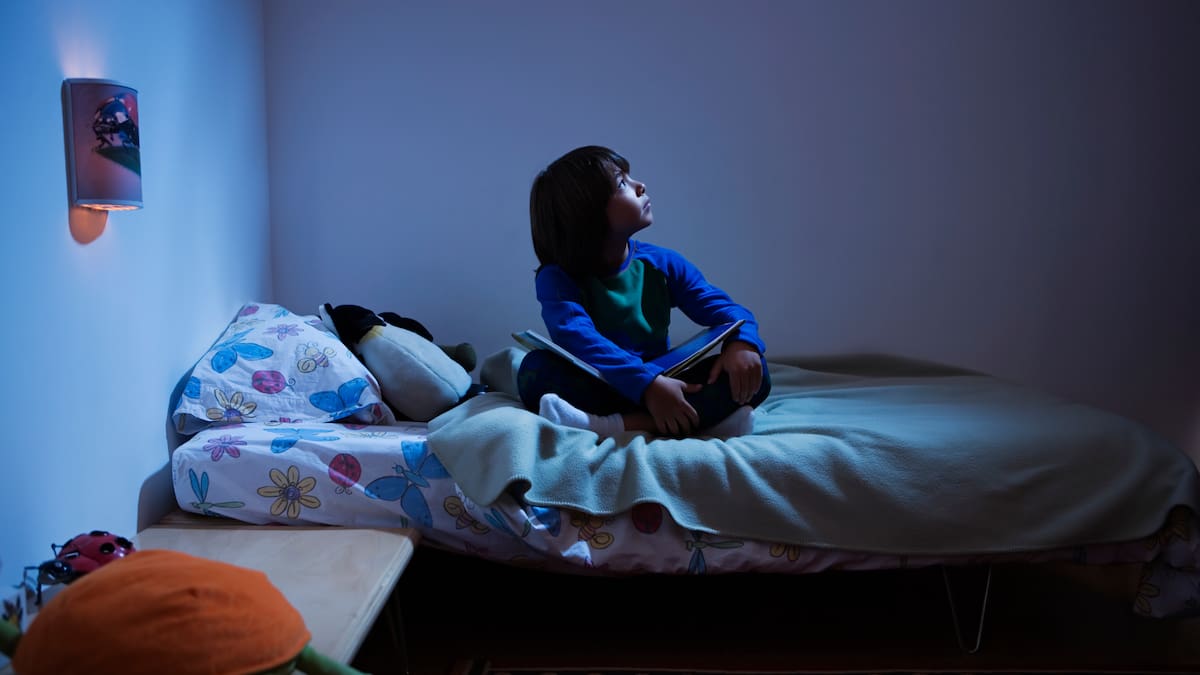 UNICEF, Subsecretaría de la Niñez y SENAPRED lanzan manual para proteger a la infancia en emergencias