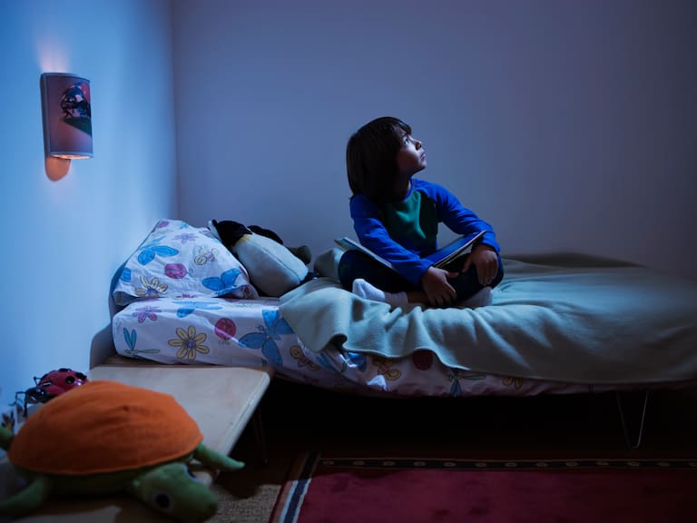 UNICEF, Subsecretaría de la Niñez y SENAPRED lanzan manual para proteger a la infancia en emergencias