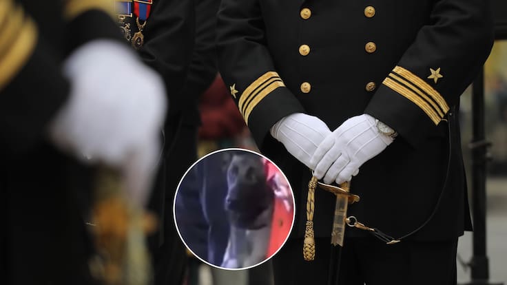 Armada retira de funciones a perro antidrogas tras morder a un oficial en ceremonia pública: lo enviaron a un proceso de reentrenamiento