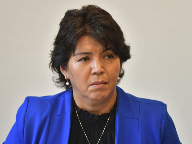 Senadora Yasna Provoste y megarreforma del Gobierno: “Como está, no es posible que cuente con nuestros votos”