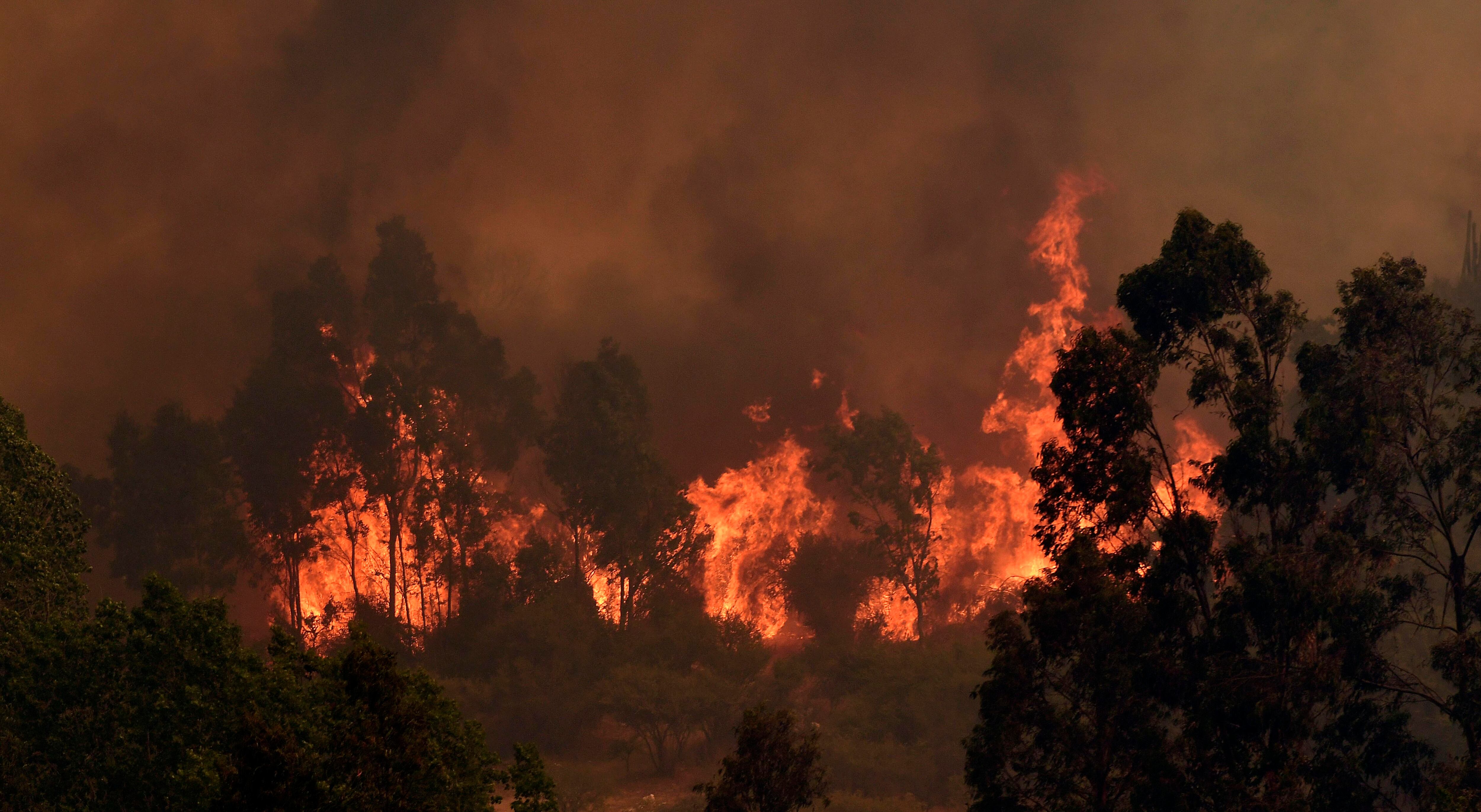 Incendio forestal