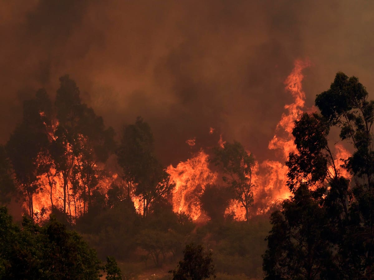 Presidente Piñera anunció querellas criminales contra quienes resulten responsables por incendios forestales en la Región de Valparaíso