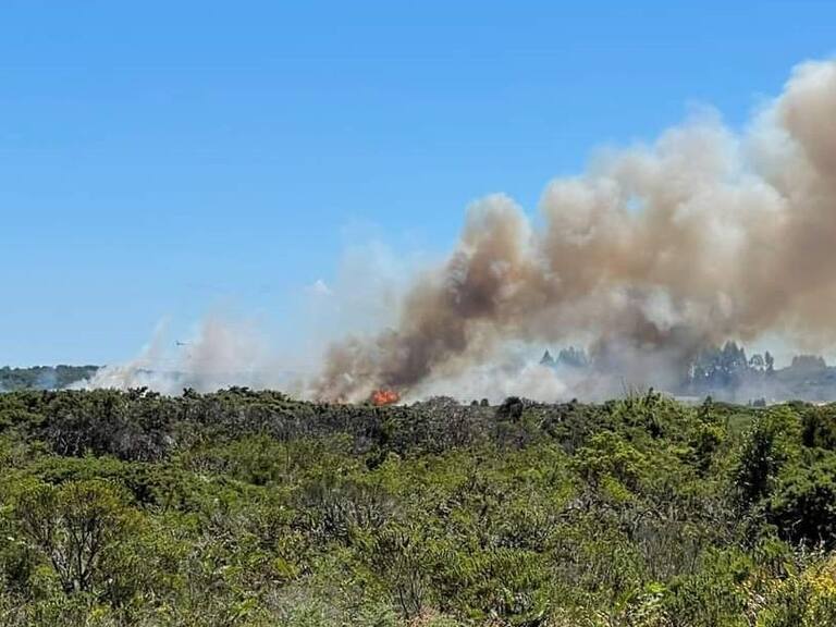 Alerta SAE: Onemi pidió evacuar sector La Vara de Puerto Montt por incendio forestal en la zona