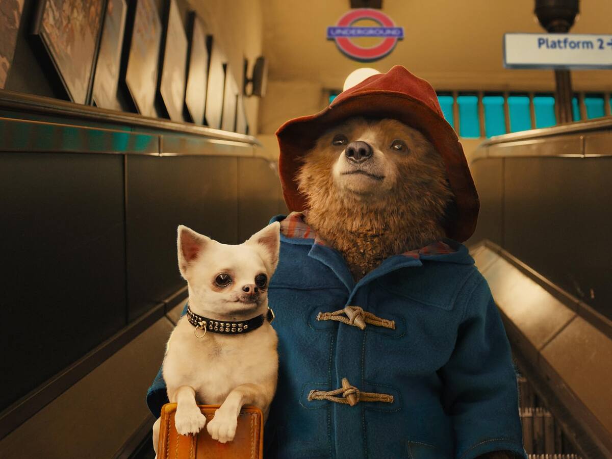 “Paddington 3″: mira el primer tráiler y conoce todos los detalles de la esperada película