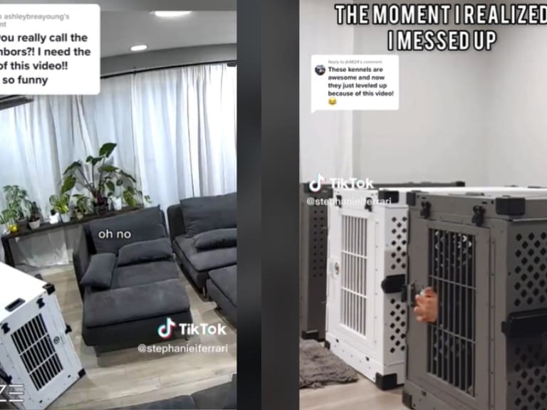 Pareja queda atrapada en jaulas de perros y se vuelve viral en TikTok
