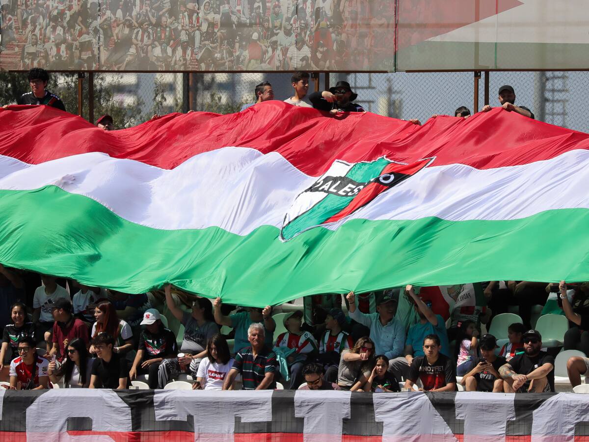 Molestia en Palestino por jugar ante Cobreloa sin hinchas visitantes y con aforo reducido: “Lamentamos esta discriminación”