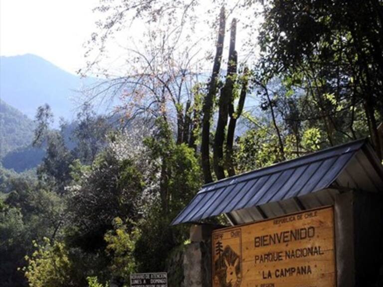 Conoce las diferencias entre parque nacional, monumento natural y santuario de la naturaleza