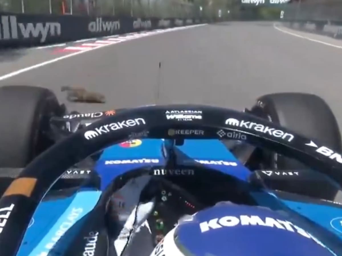 Alexander Albon protagonizó un curioso y fuerte accidente en el GP de Canadá: “Intentó apartarse de un habitante local”