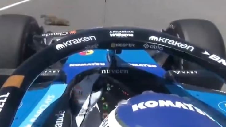 Alexander Albon protagonizó un curioso y fuerte accidente en el GP de Canadá: “Intentó apartarse de un habitante local”