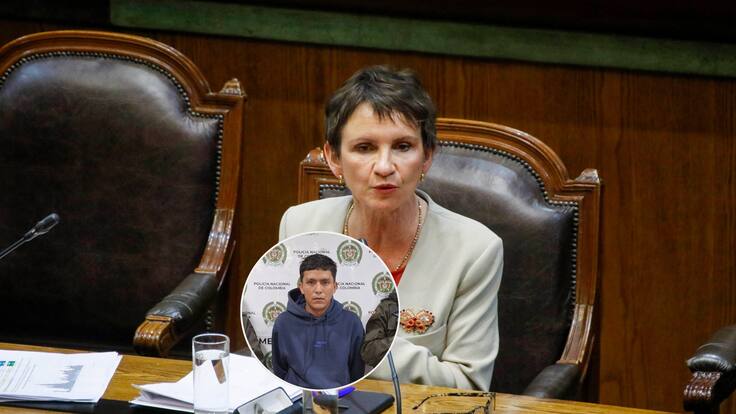 Carolina Tohá valora detenención del "Gocho"