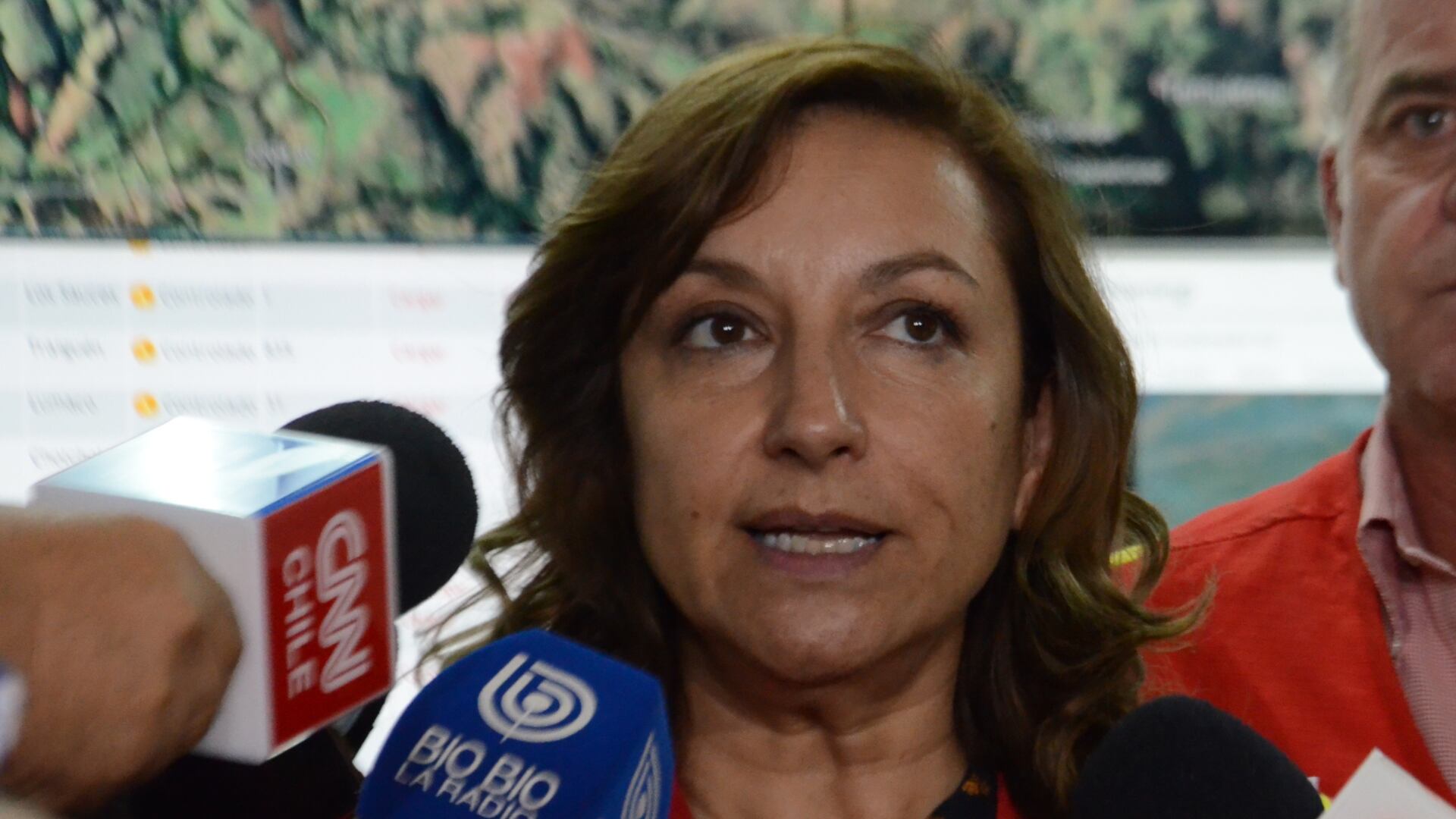 Aida Baldini, gerenta Conaf