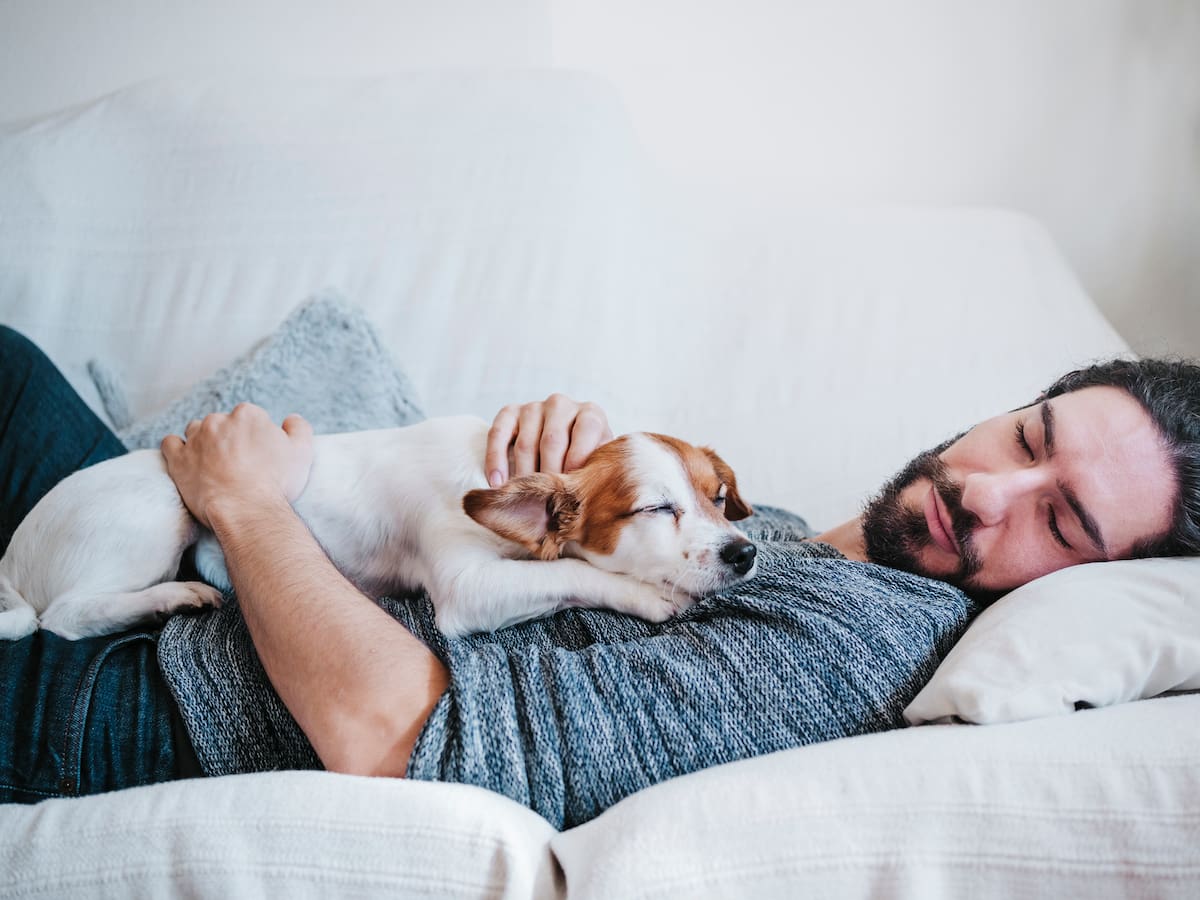 Dormir la siesta a diario podría aumentar en un 48% el riesgo de demencia, según estudio