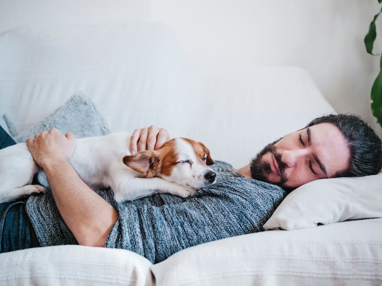 Siesta