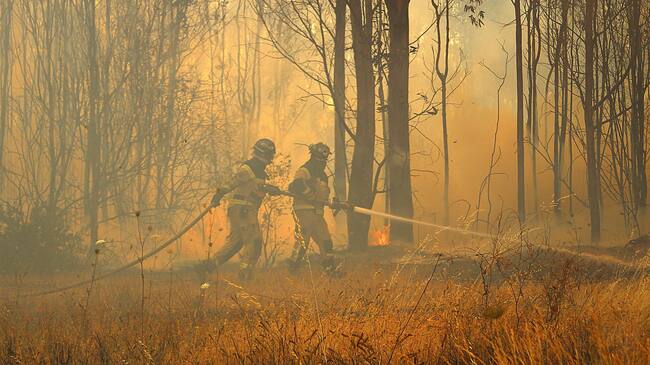 27 de Diciembre 2021/ CHILLAN.
Bomberos ingresan a bosque para atacar un foco que amenaza con reactivarse, en el marco de un incendio forestal registrado en quillón el cual ha consumido mas de 1600 hectáreas.
FOTO: JOSÉ CAMPOS / AGENCIA UNO