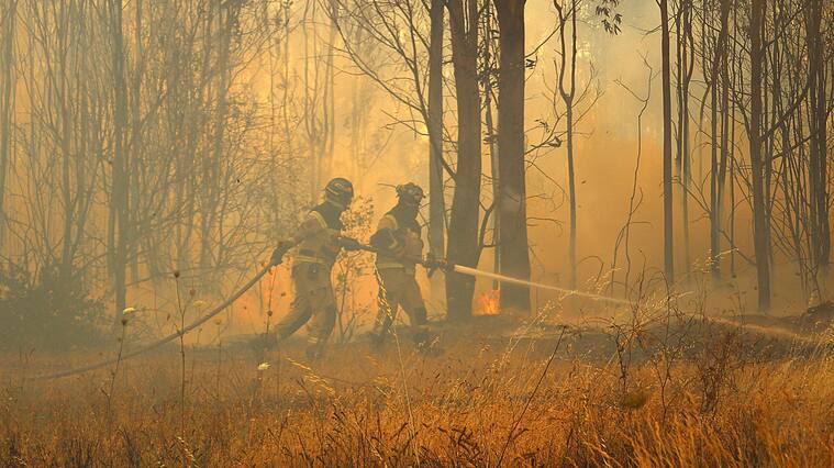 27 de Diciembre 2021/ CHILLAN.
Bomberos ingresan a bosque para atacar un foco que amenaza con reactivarse, en el marco de un incendio forestal registrado en quillón el cual ha consumido mas de 1600 hectáreas.
FOTO: JOSÉ CAMPOS / AGENCIA UNO