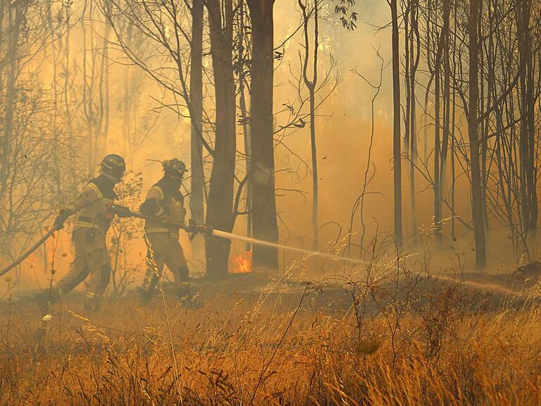 27 de Diciembre 2021/ CHILLAN.
Bomberos ingresan a bosque para atacar un foco que amenaza con reactivarse, en el marco de un incendio forestal registrado en quillón el cual ha consumido mas de 1600 hectáreas.
FOTO: JOSÉ CAMPOS / AGENCIA UNO
