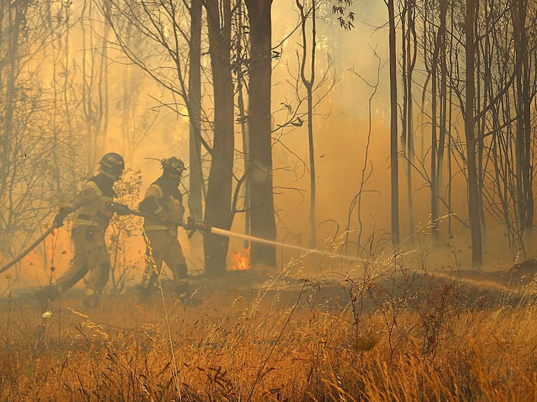 27  de Diciembre 2021/ CHILLAN.
Bomberos ingresan a bosque para atacar un foco que amenaza con reactivarse,  en el marco de un incendio forestal registrado en quillón el cual ha consumido mas de 1600 hectáreas.

FOTO: JOSÉ CAMPOS / AGENCIA UNO