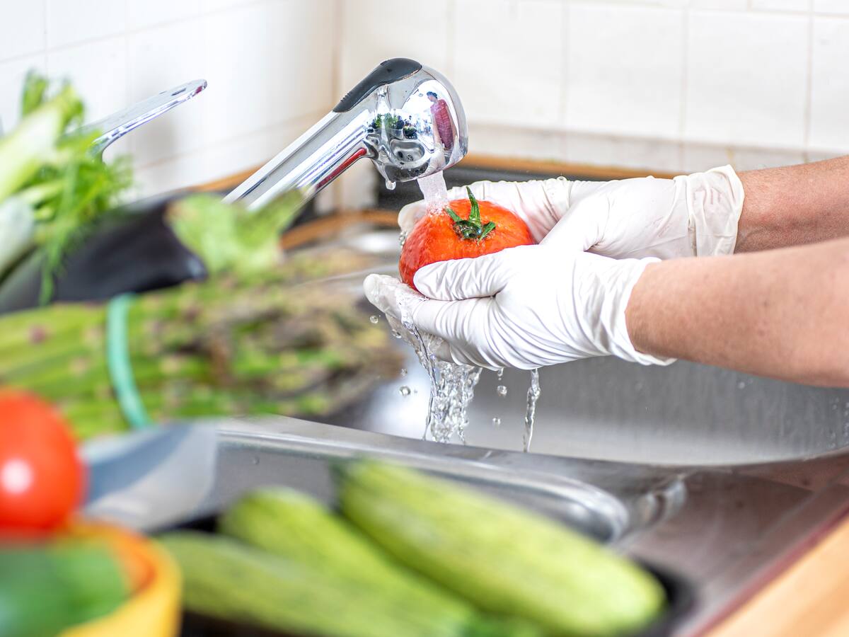 Estudio revela las causas principales de las enfermedades de transmisión por alimentos en Chile