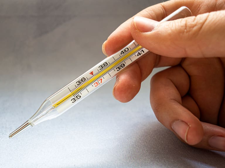 ¿Por que es tan peligroso el mercurio que contienen los termómetros?