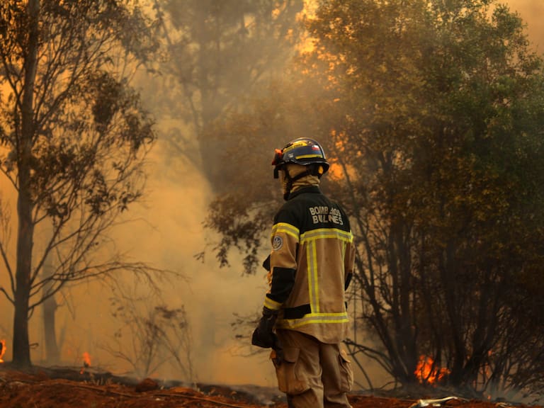Alerta Roja en Quillota por incendio forestal cercano a lugares poblados