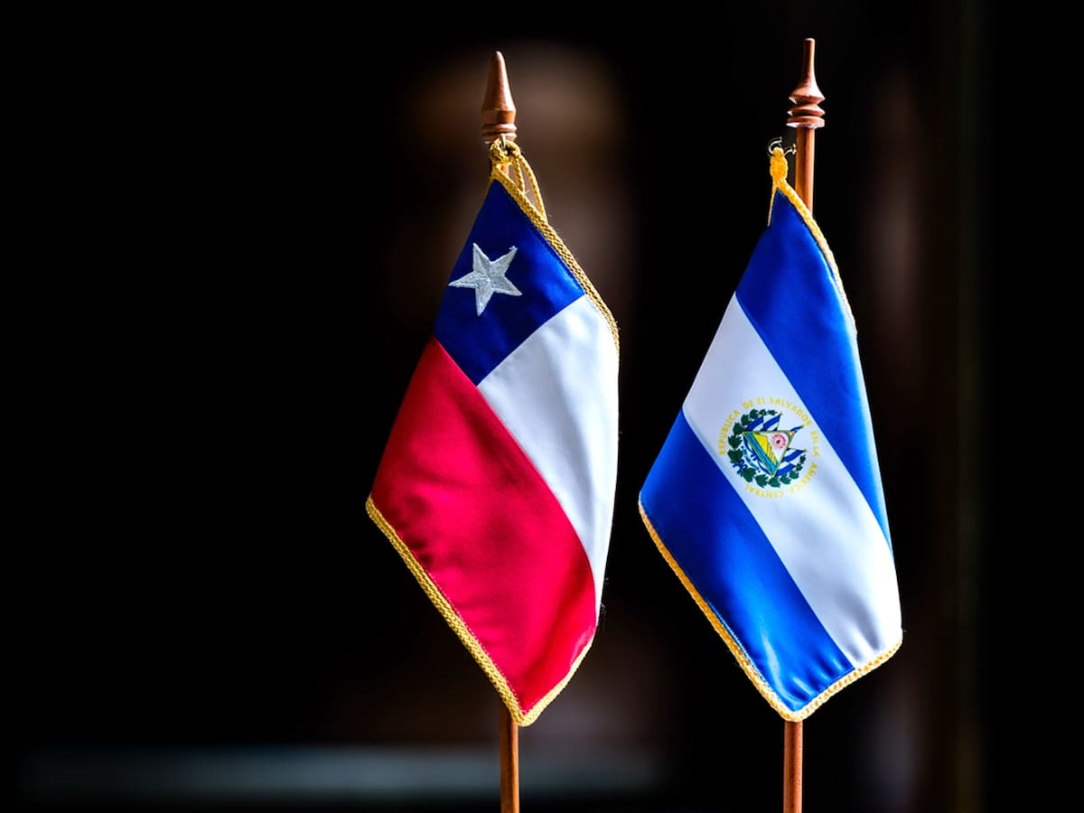 Diputada de El Salvador anuncia demanda contra el Estado de Chile por muerte de ciudadano que involucra a exdiplomático