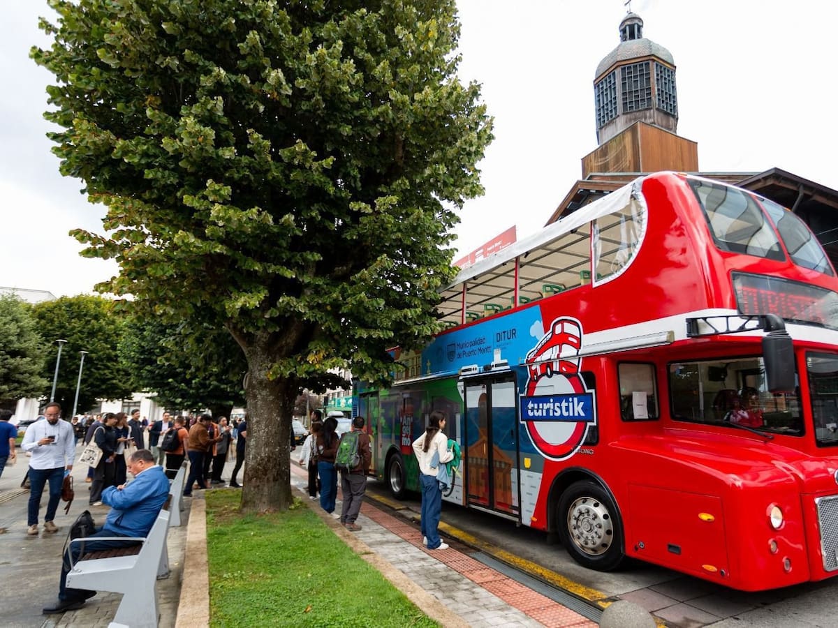 Como en Europa: Puerto Montt estrena buses turísticos gratuitos por seis meses