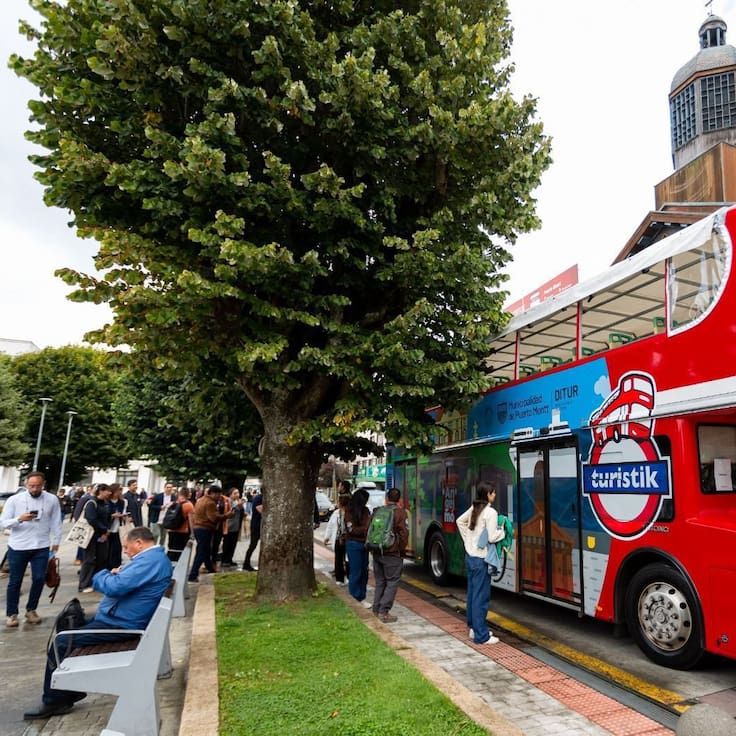 Como en Europa: Puerto Montt estrena buses turísticos gratuitos por seis meses
