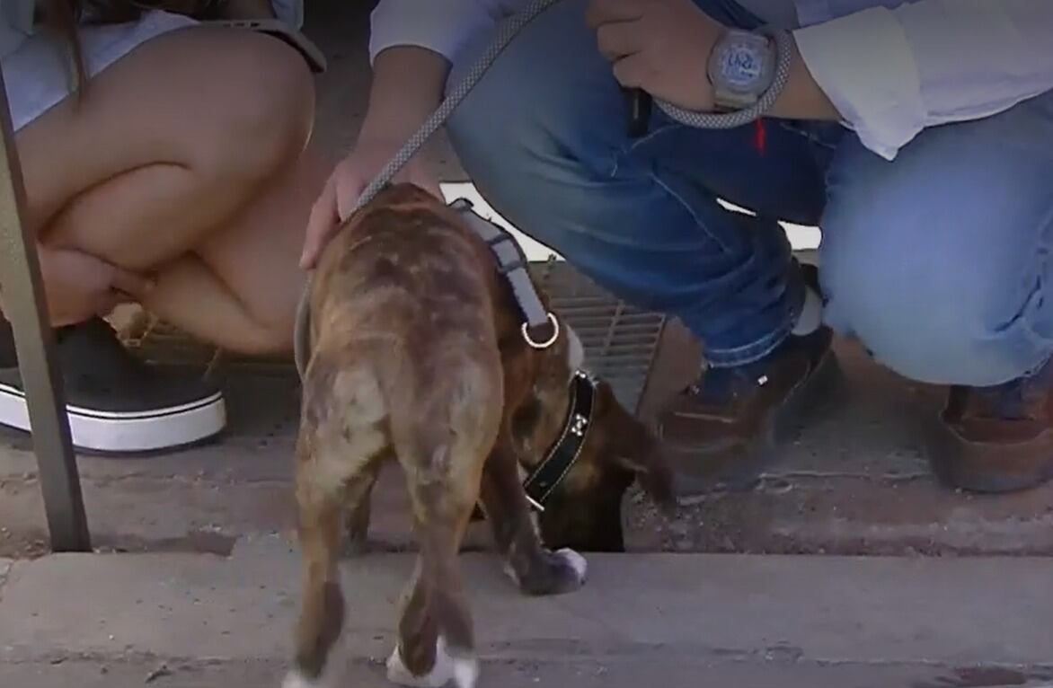 Captura de pantalla: Canal 24 Horas
