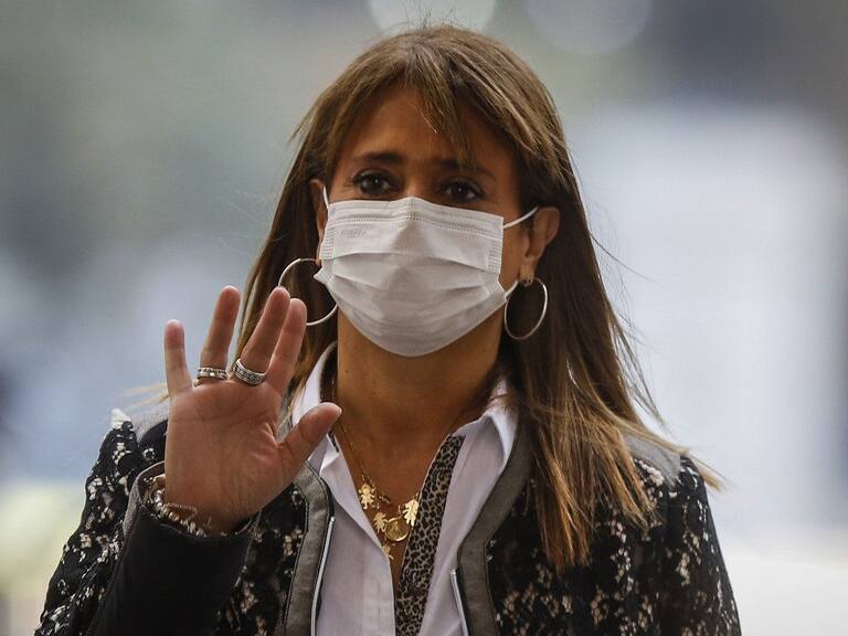 Fiscalía pide 300 días de cárcel para hijo de Jacqueline van Rysselberghe que no respetó cuarentena en Las Condes