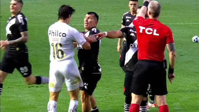 gary medel
