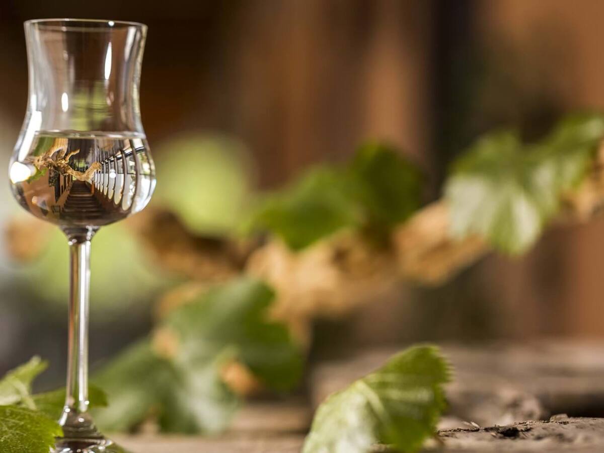 Gratis y para todo público: así es el festival de pisco que tomará Santiago este fin de semana