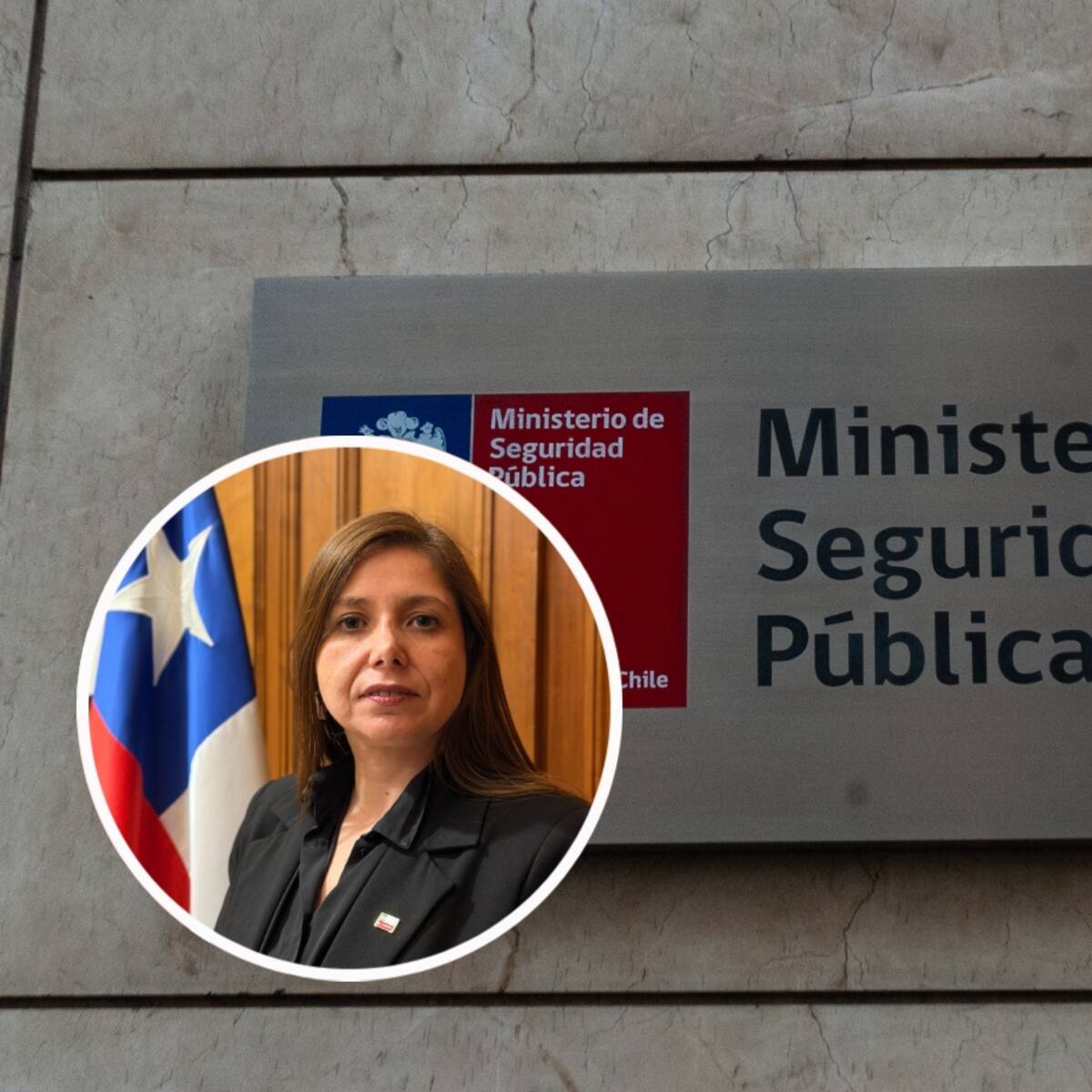 Siguen los cambios: subsecretaria Pilar Giannini descabeza las cinco divisiones de Seguridad Pública