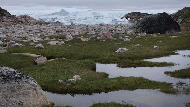 Calentamiento global: un tercio del ártico se vuelve una fuente de emisiones de carbono