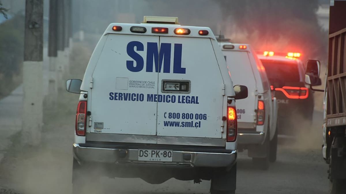 Querían sorprender a hermano que llegaba de Francia: lo que se sabe de la muerte de dos niños electrocutados en Licanray
