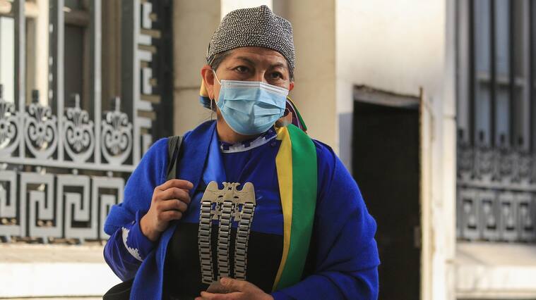 Elisa Loncón por críticas a lengua mapuche