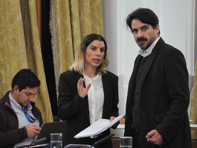 30 DE ABRIL DEL 2024 / SANTIAGO
De izquierda a derecha, diputada Maite Orsini y el diputado Gonzalo Winter.
Las Comisiones unidas de Constitución, Legislación, Justicia y Reglamento, y de Seguridad Ciudadana celebran sesión especial con el propósito de la tramitación en particular del proyecto de ley que “Establece normas generales sobre el uso de la fuerza para el personal de las fuerzas de orden y seguridad pública y de las fuerzas armadas en las circunstancias que se señala”.
FOTO: VICTOR HUENANTE / AGENCIAUNO