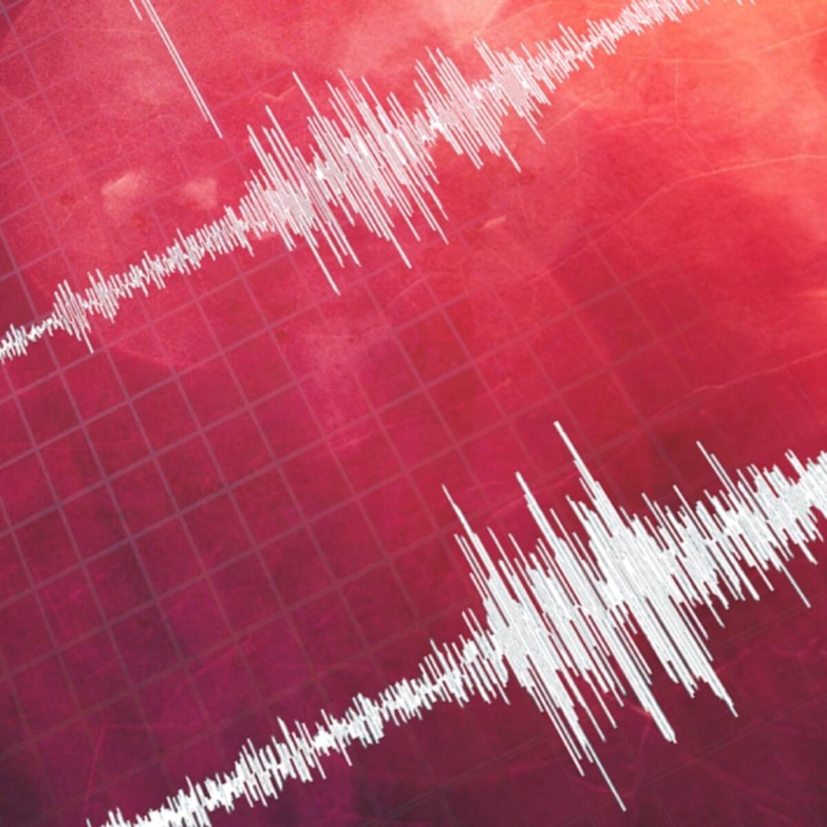 SHOA descarta riesgo de tsunami en Chile tras temblor 6,0 registrado en el sur del país