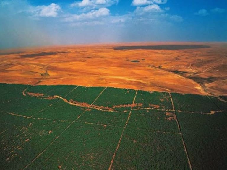 África construye gran muralla verde que cruza 11 países para detener el desierto del Sahara
