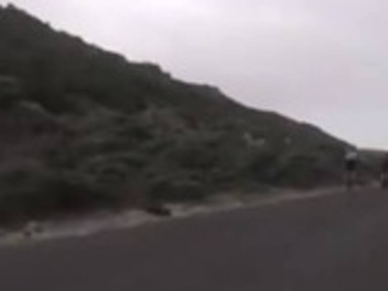 Un avestruz persiguió a ciclistas al más puro estilo del correcaminos