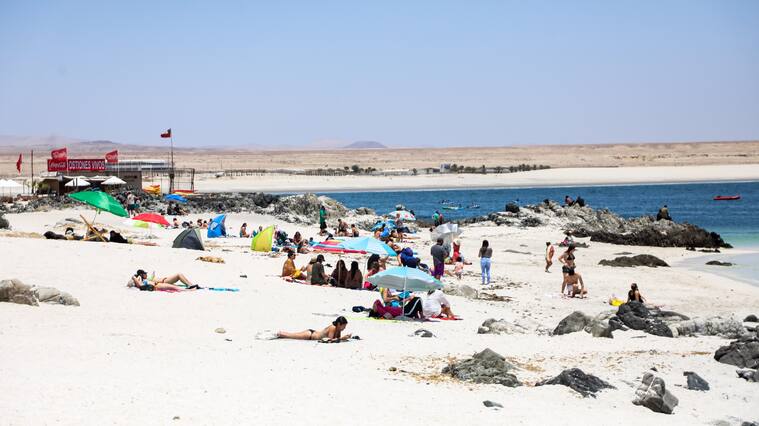 Gobierno anunciará plan para fiestas de fin de año y verano en modo covid