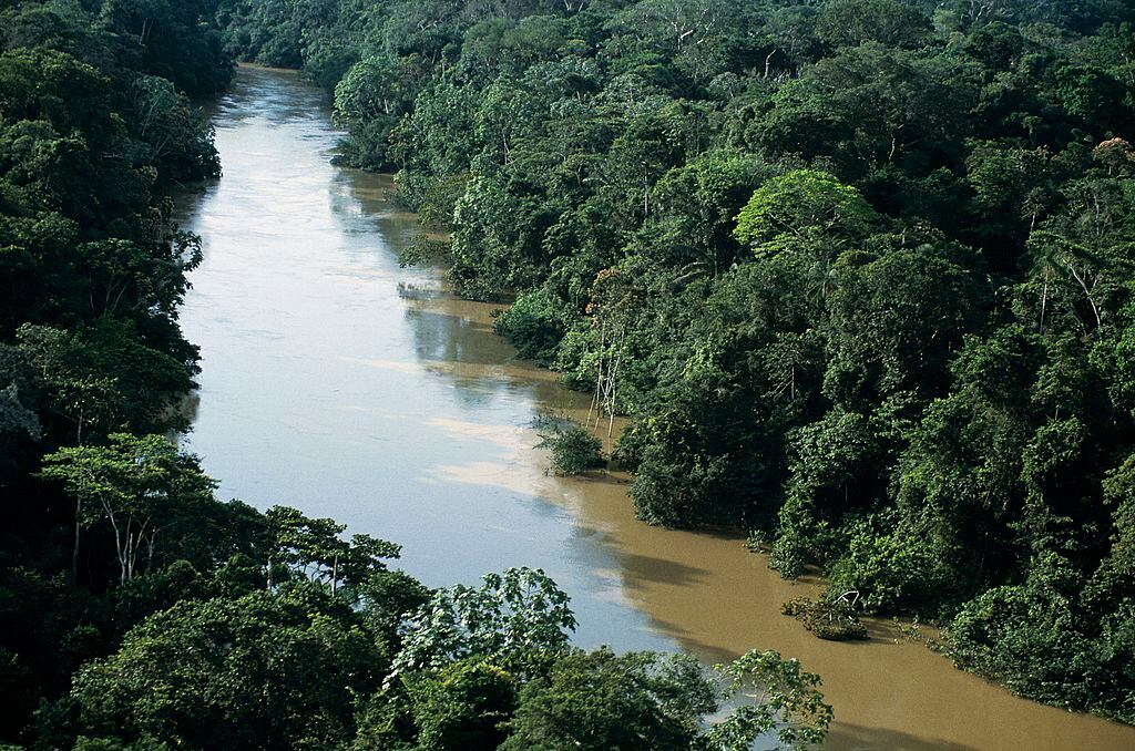 Bosque amazónico en Ecuador