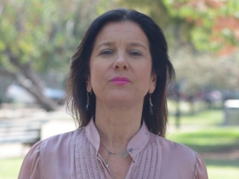 #ElADNdelDía con Mirna Schindler: el boicot a la PSU